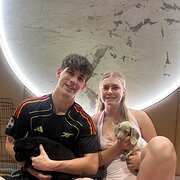 House Sitter - Pet sitter