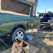 House Sitter - Deb & Mia 