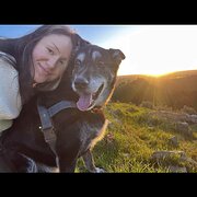 House Sitter - Nomadic animal loving photographer!