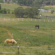 Home Owner wanting sitter in Brisbane, Queensland