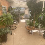 Home Owner wanting sitter in Wagga Wagga, New South Wales