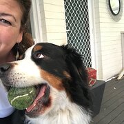 House Sitter - Natasha