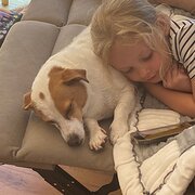 Home Owner wanting sitter in Banora point, New South Wales