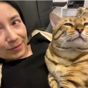 House Sitter - Pao Huertas