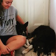 House Sitter - Nina Ga