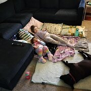 Home Owner wanting sitter in Adelaide , South Australia