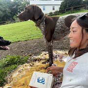 House Sitter - Quiet, respectful, easygoing sitter