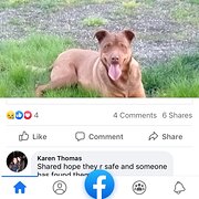 Home Owner wanting sitter in , New South Wales