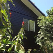 Home Owner wanting sitter in Newcastle , New South Wales