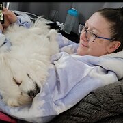 House Sitter - Gordon & Samantha