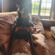 Home Owner wanting sitter in PRESTON SETTLEMENT, Western Australia