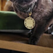 Home Owner wanting sitter in Melbourne , Victoria