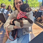 House Sitter - Catlin-reliable, caring and experienced