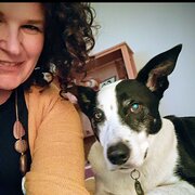 House Sitter - Nurse Wanderer