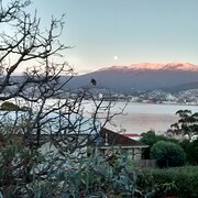 Home Owner wanting sitter in Hobart, Tasmania
