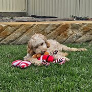 Home Owner wanting sitter in , New South Wales