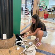 House Sitter - House sitter / pet sitter 