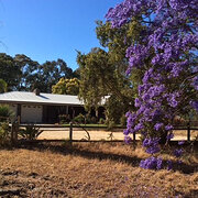 Home Owner wanting sitter in Mandurah, Western Australia