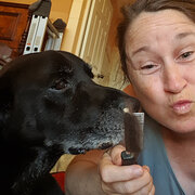 House Sitter - Coastal Carer