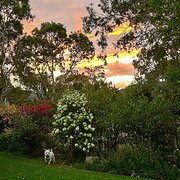 Home Owner wanting sitter in Cranbourne/Carrum Downs, Victoria