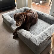 Home Owner wanting sitter in Gold Coast, Queensland