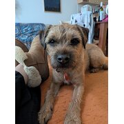 Home Owner wanting sitter in , Victoria