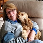 House Sitter - Experienced, trustworthy, mature