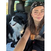 House Sitter - Happy & Caring Pet and House Sitter