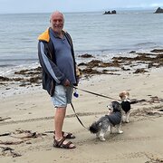 Home Owner wanting sitter in , Victoria