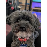 Home Owner wanting sitter in , New South Wales