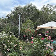 Home Owner wanting sitter in , New South Wales