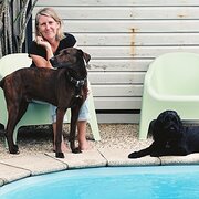 House Sitter - Michelle P