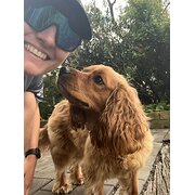 House Sitter - Swiss animal lover in Sydney