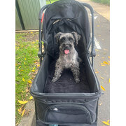 Home Owner wanting sitter in Sydney, New South Wales