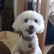 House Sitter - Cathy 