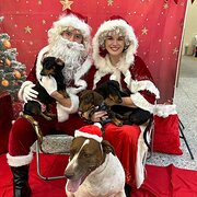 Home Owner wanting sitter in BURPENGARY - QLD, Queensland