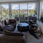 Home Owner wanting sitter in Sydney, New South Wales