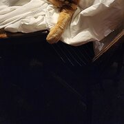 Home Owner wanting sitter in , Western Australia