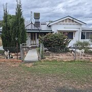 Home Owner wanting sitter in Toowoomba , Queensland