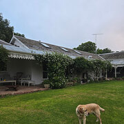 Home Owner wanting sitter in Geelong , Victoria