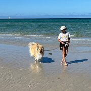 Home Owner wanting sitter in Frankston , Victoria