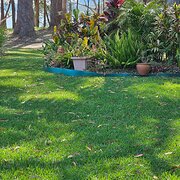 Home Owner wanting sitter in Port Macquarie, New South Wales