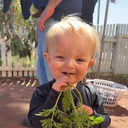 House Sitter - House/Pet sitter 