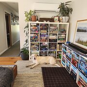 Home Owner wanting sitter in Hobart, Tasmania