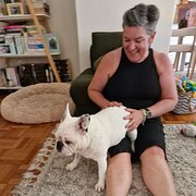 House Sitter - Professional Mature Houseproud