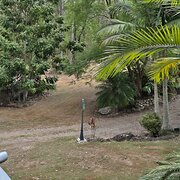 Home Owner wanting sitter in Grafton , New South Wales