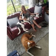 House Sitter - Mature responsible female animal whisper