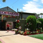 Home Owner wanting sitter in Bendigo, Victoria