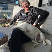 House Sitter - Pet nanny 