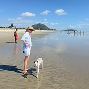 House Sitter - Full Time Work from Home Housesitter